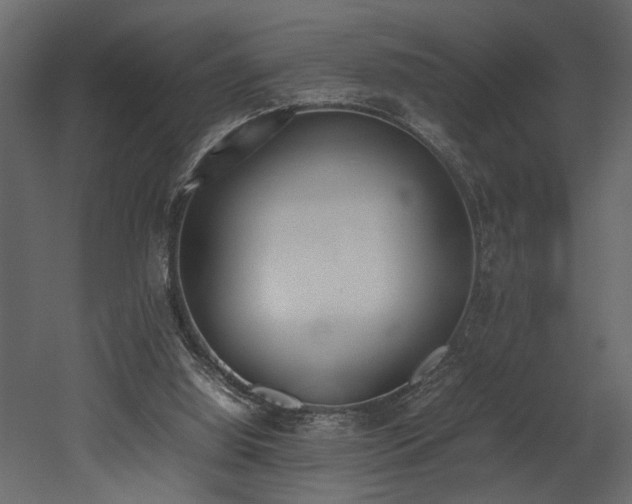 X0000052990060200507081200