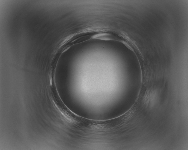 X0000052990062200507081200