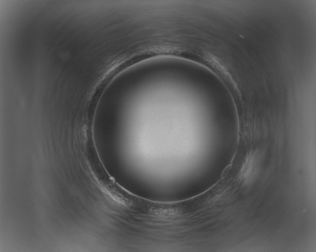 X0000052990063200507081200