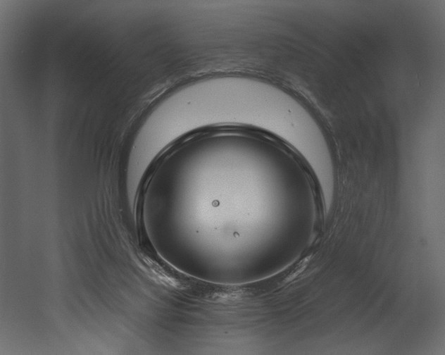 X0000052990068200507081200