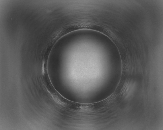 X0000052990070200507081200