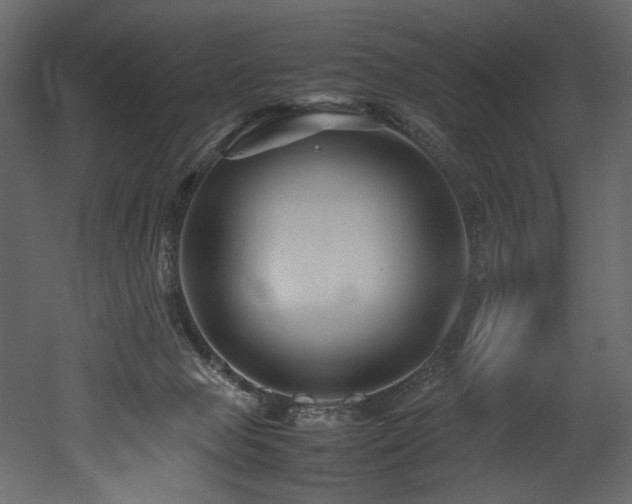 X0000052990077200507081200