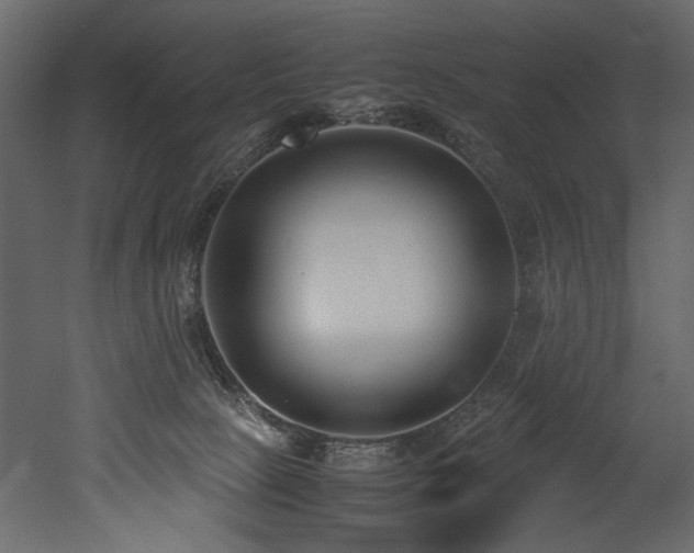 X0000052990081200507081200