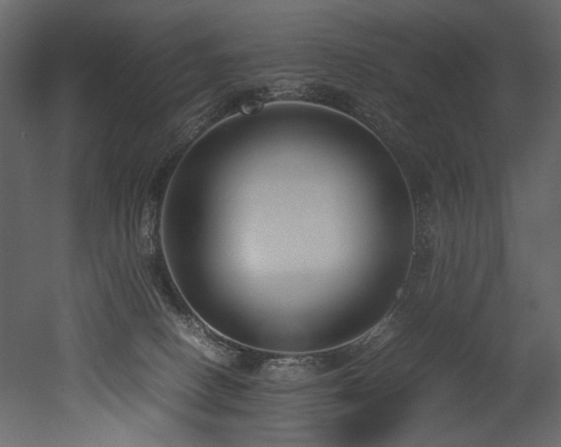X0000052990082200507081200