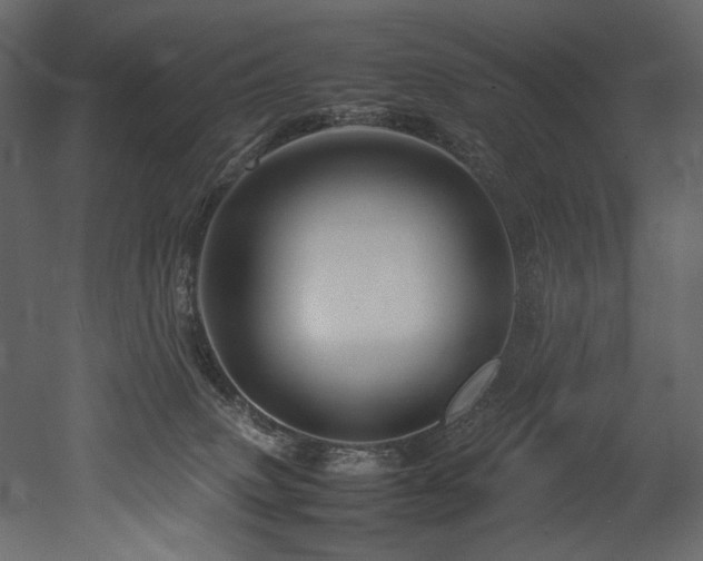 X0000052990083200507081200