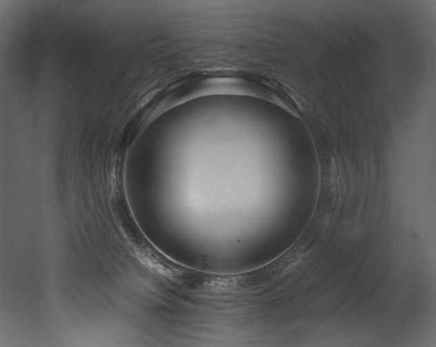 X0000052990084200507081200