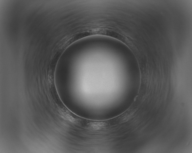 X0000052990085200507081200