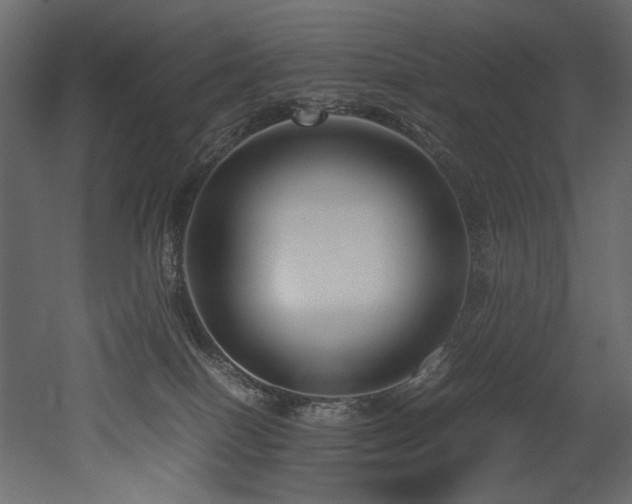 X0000052990086200507081200