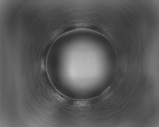 X0000052990089200507081200
