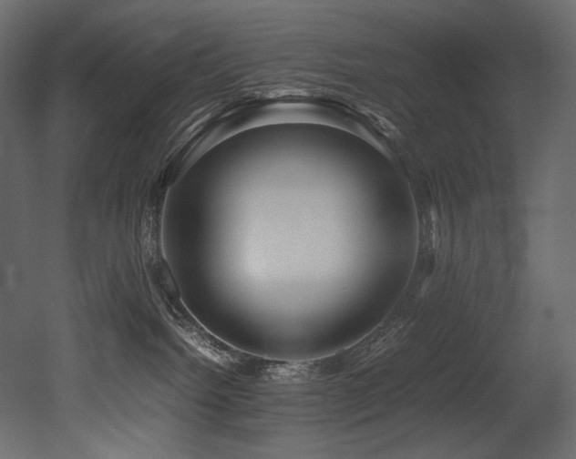 X0000052990092200507081200