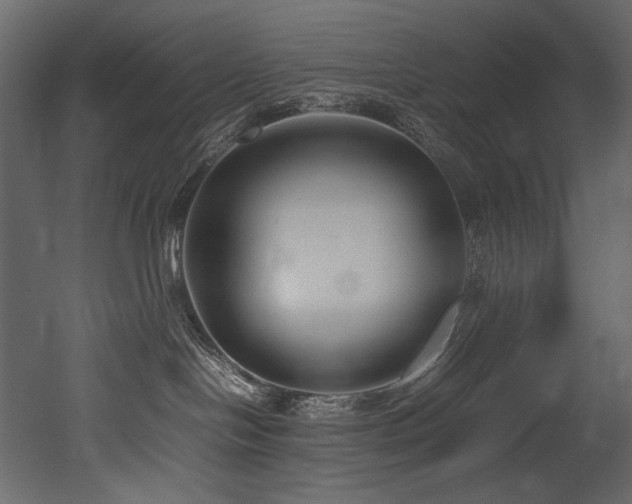 X0000052990094200507081200