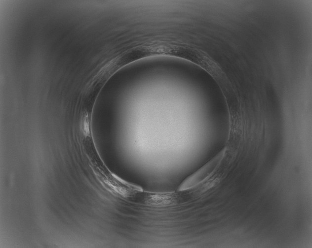 X0000052990095200507081200