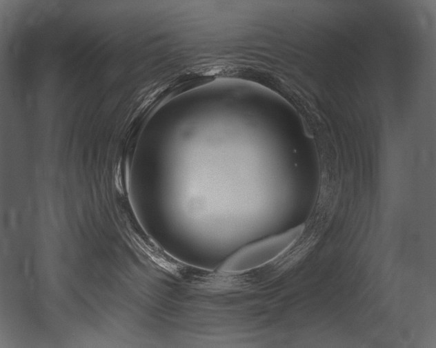 X0000052990096200507081200