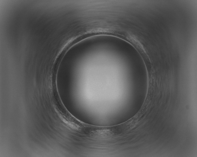 X0000052990108200507081159