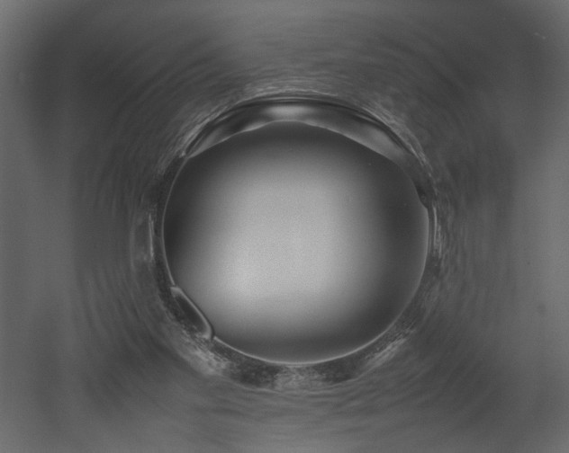 X0000052990109200507081159
