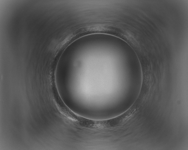 X0000052990111200507081159