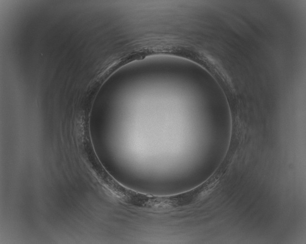 X0000052990113200507081159
