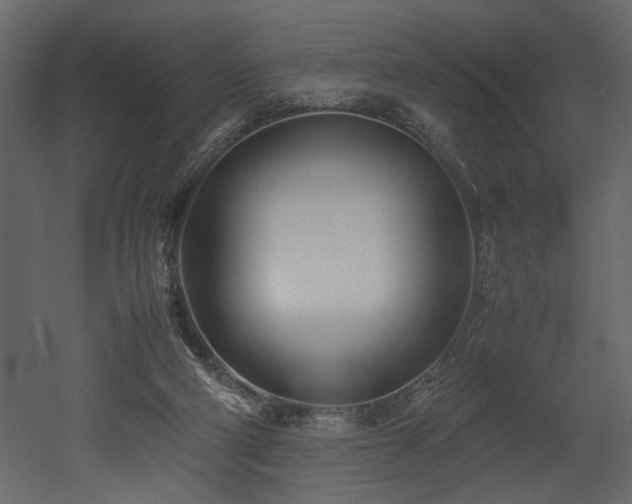 X0000052990114200507081159