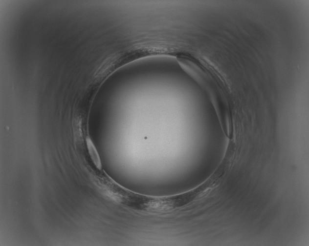 X0000052990117200507081159