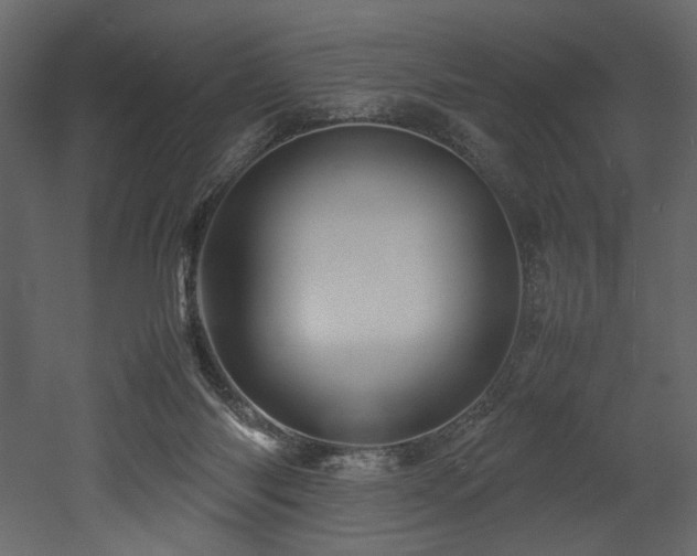 X0000052990118200507081159