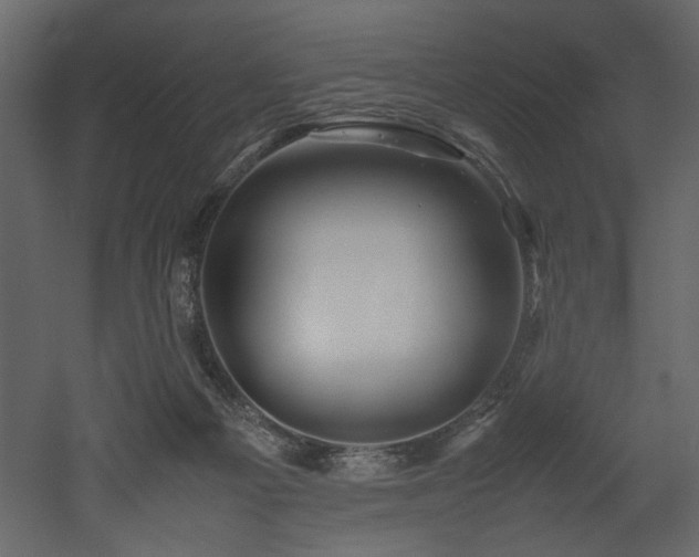 X0000052990121200507081159