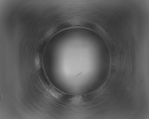 X0000052990124200507081159