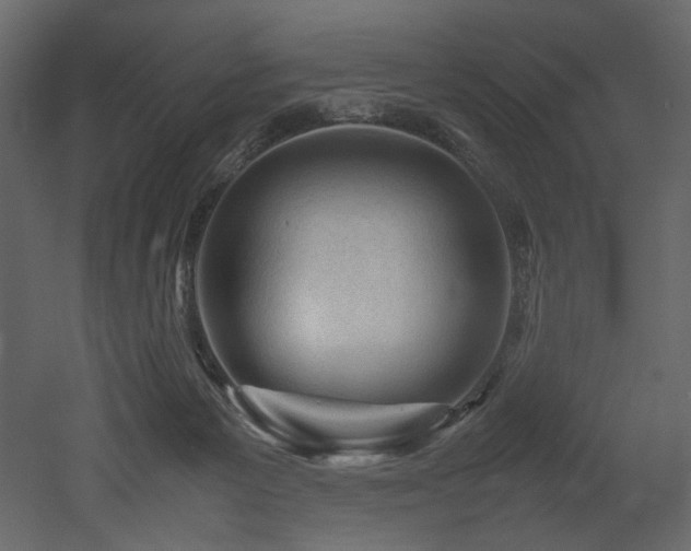 X0000052990125200507081159