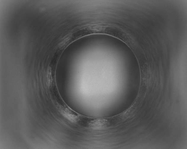 X0000052990128200507081159