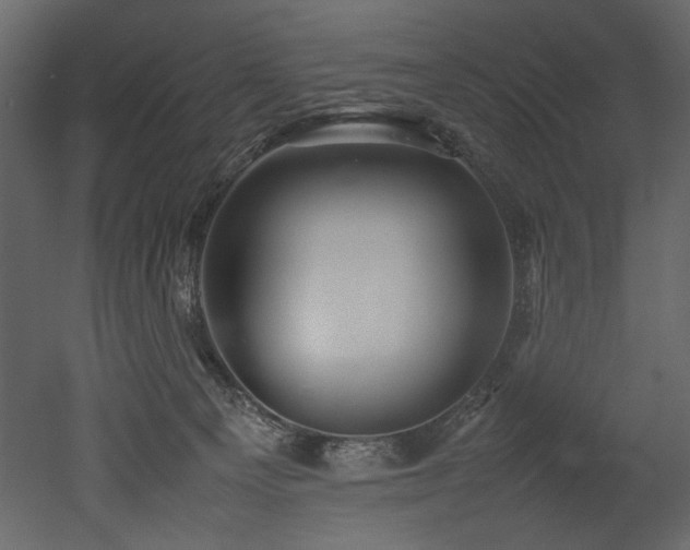 X0000052990129200507081159