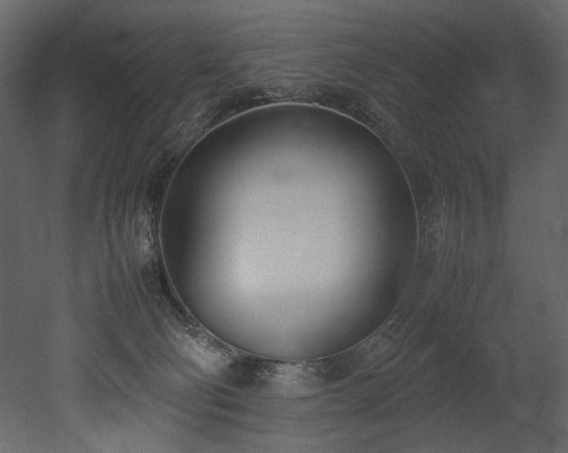 X0000052990130200507081159