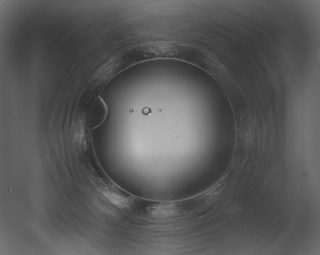 X0000052990132200507081159