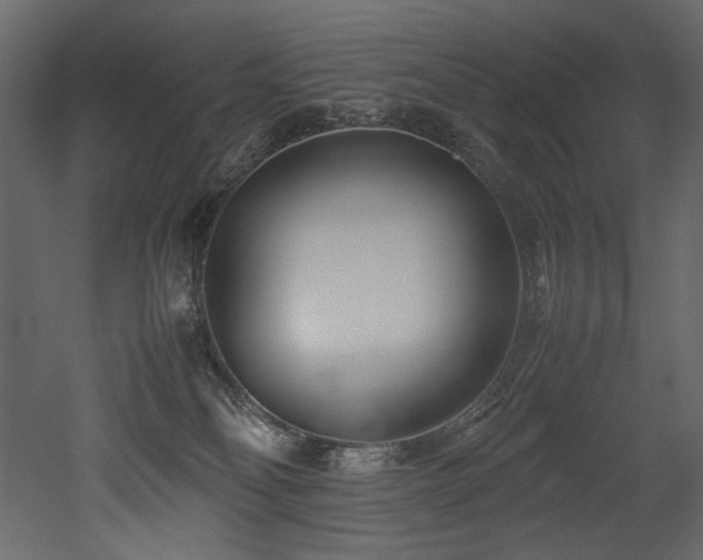 X0000052990134200507081159