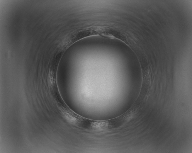 X0000052990135200507081159