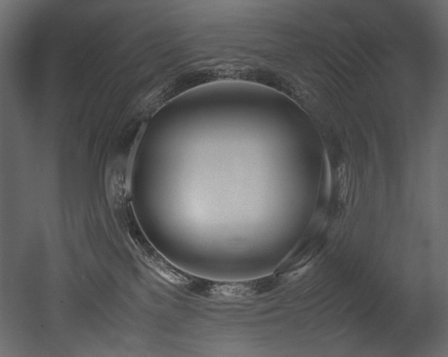 X0000052990137200507081159