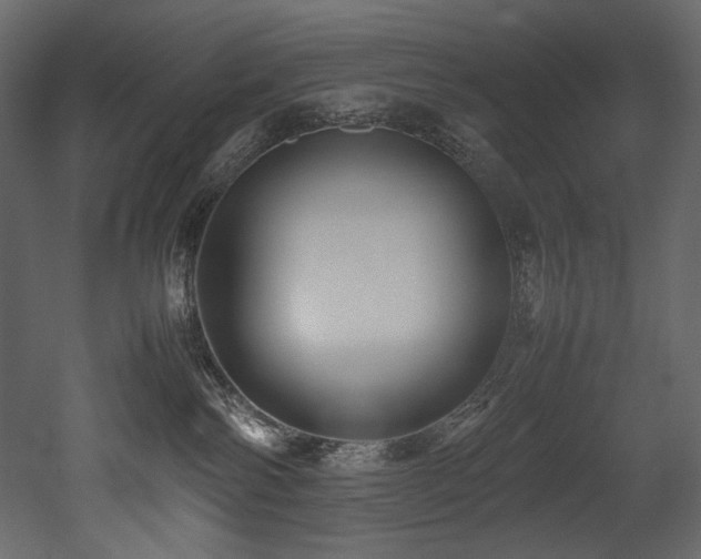 X0000052990138200507081159