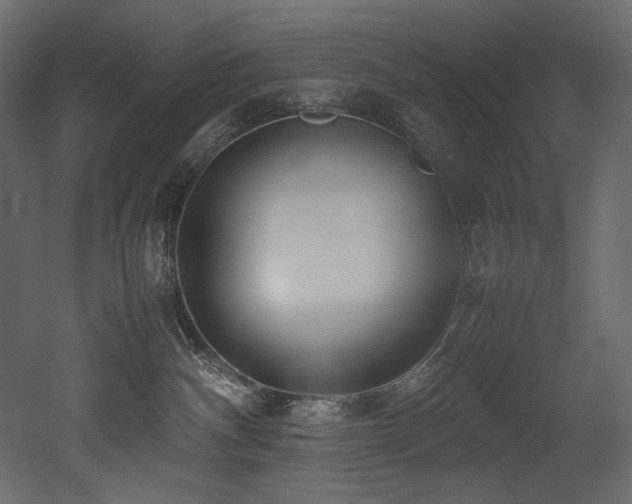 X0000052990140200507081159