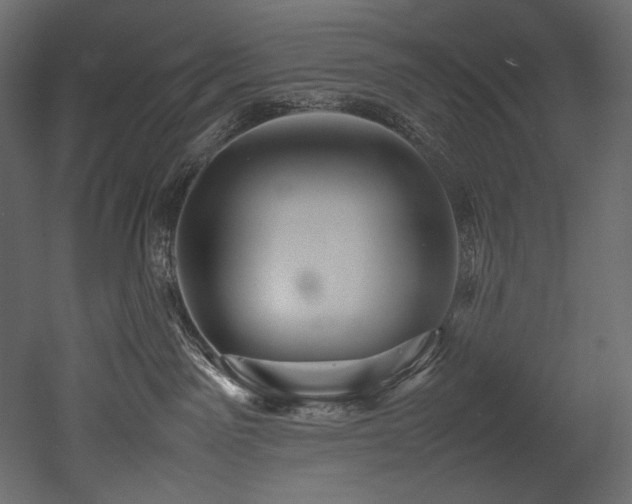 X0000052990141200507081159
