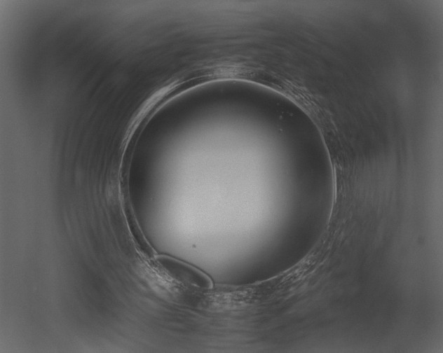 X0000052990147200507081158