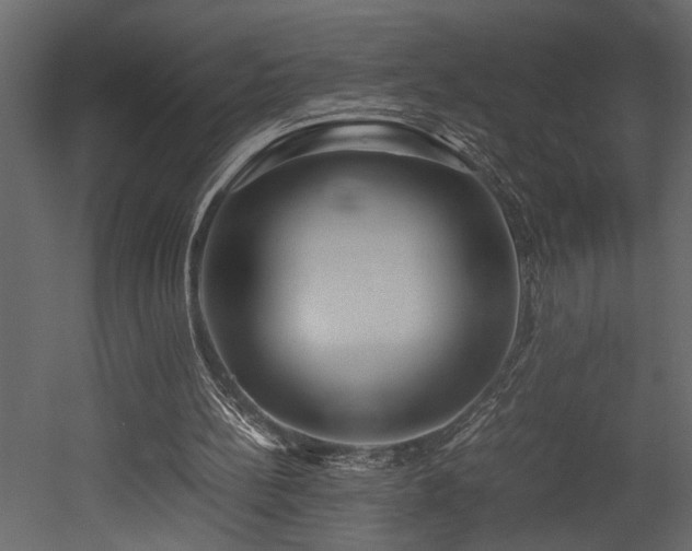 X0000052990148200507081158