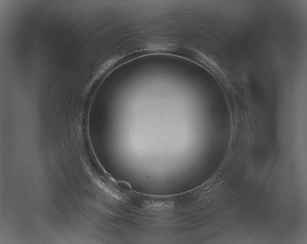 X0000052990155200507081158
