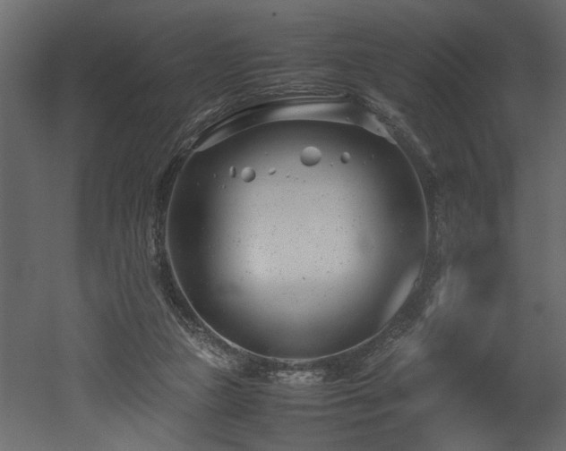 X0000052990161200507081158