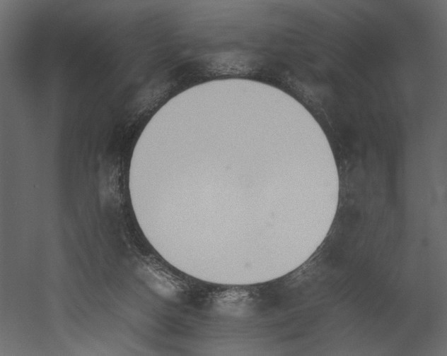 X0000052990162200507081158
