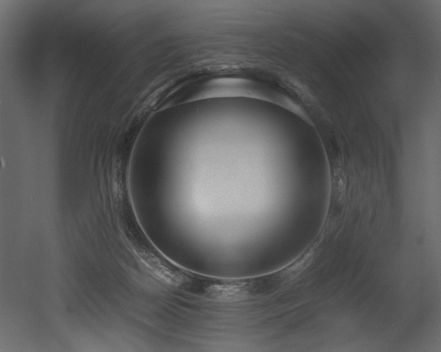 X0000052990170200507081158