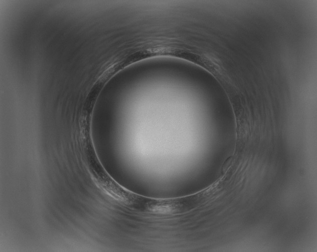 X0000052990171200507081158