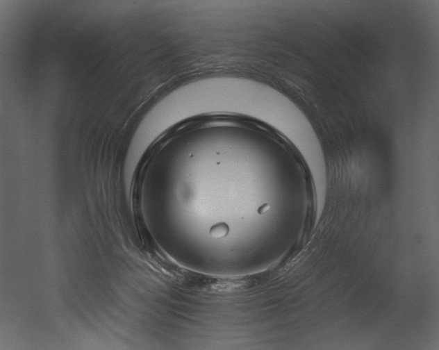 X0000052990172200507081158