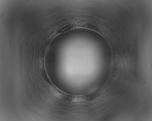 X0000052990177200507081159