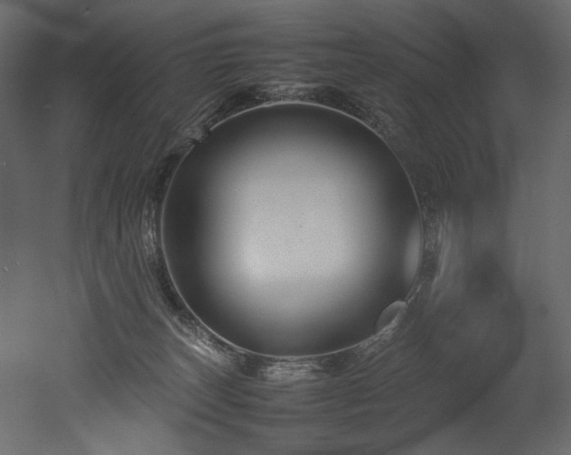 X0000052990179200507081159