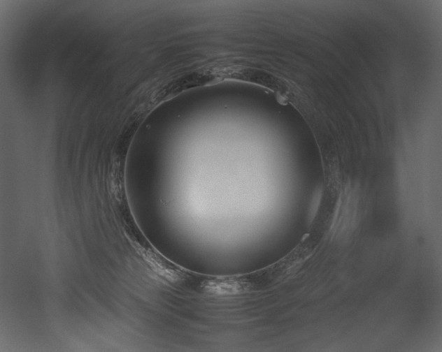 X0000052990181200507081159
