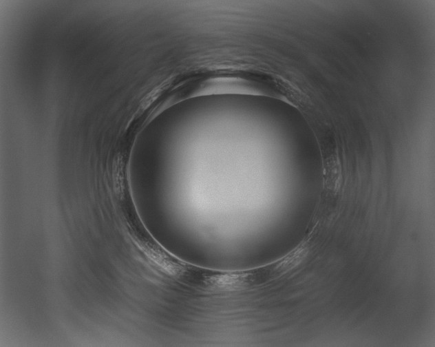 X0000052990184200507081159