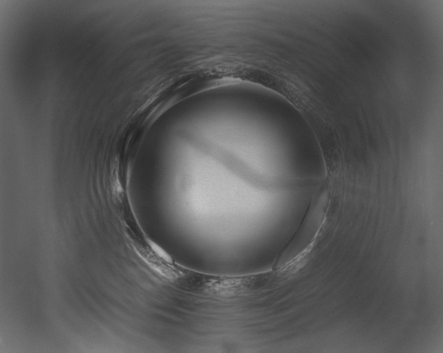 X0000052990186200507081159
